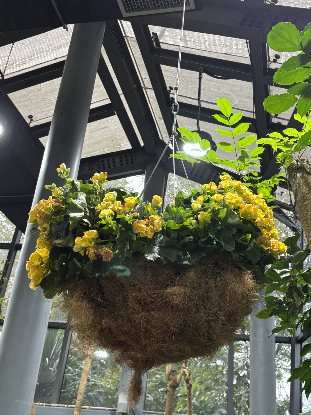 2025年2至3月:那些花儿,那些回忆