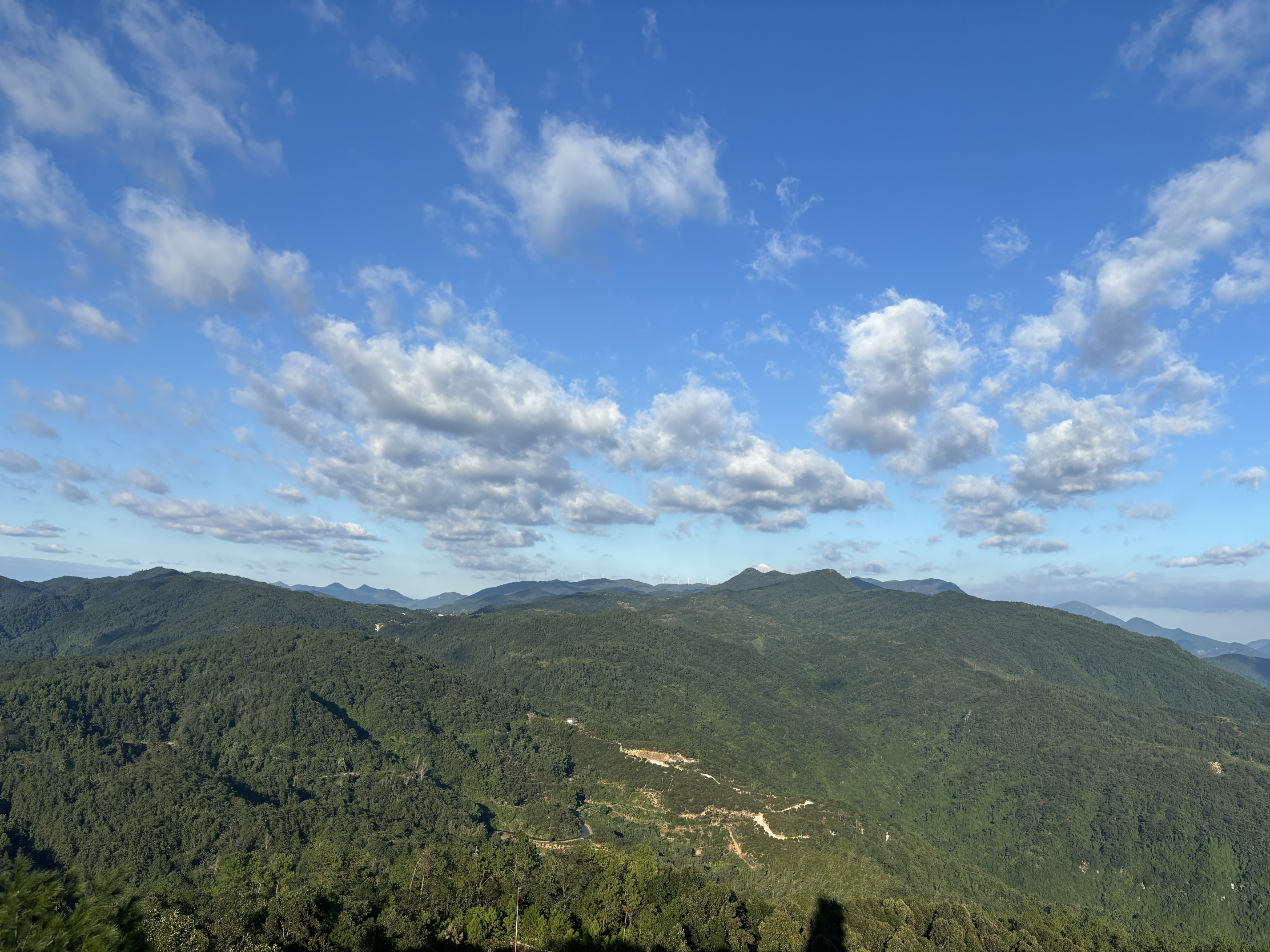 漫随天外云卷云舒