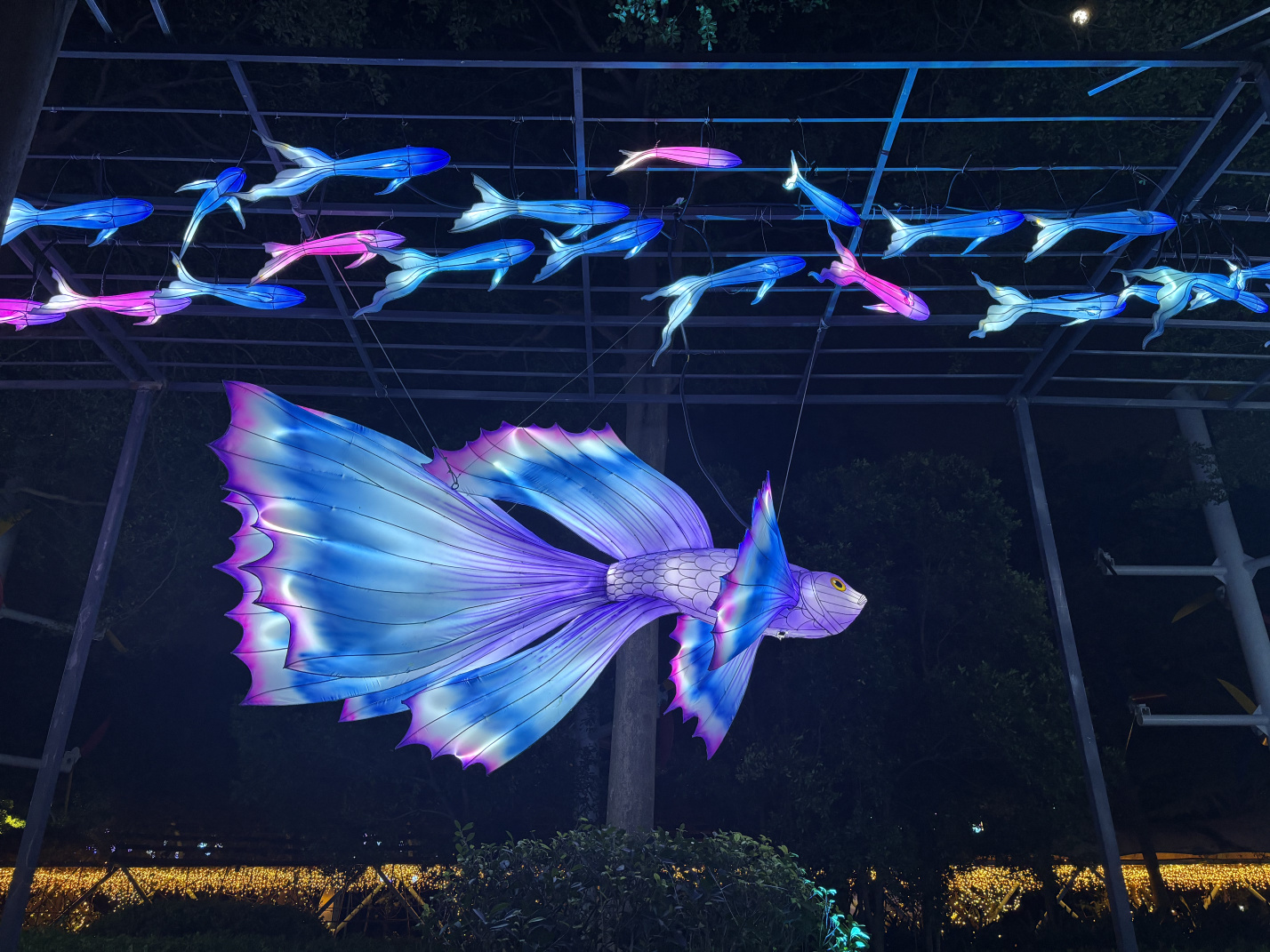 2025年园博苑中秋灯展