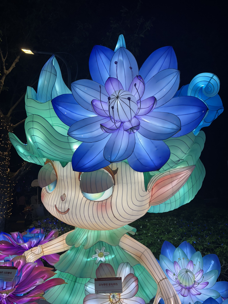 2025年园博苑中秋灯展