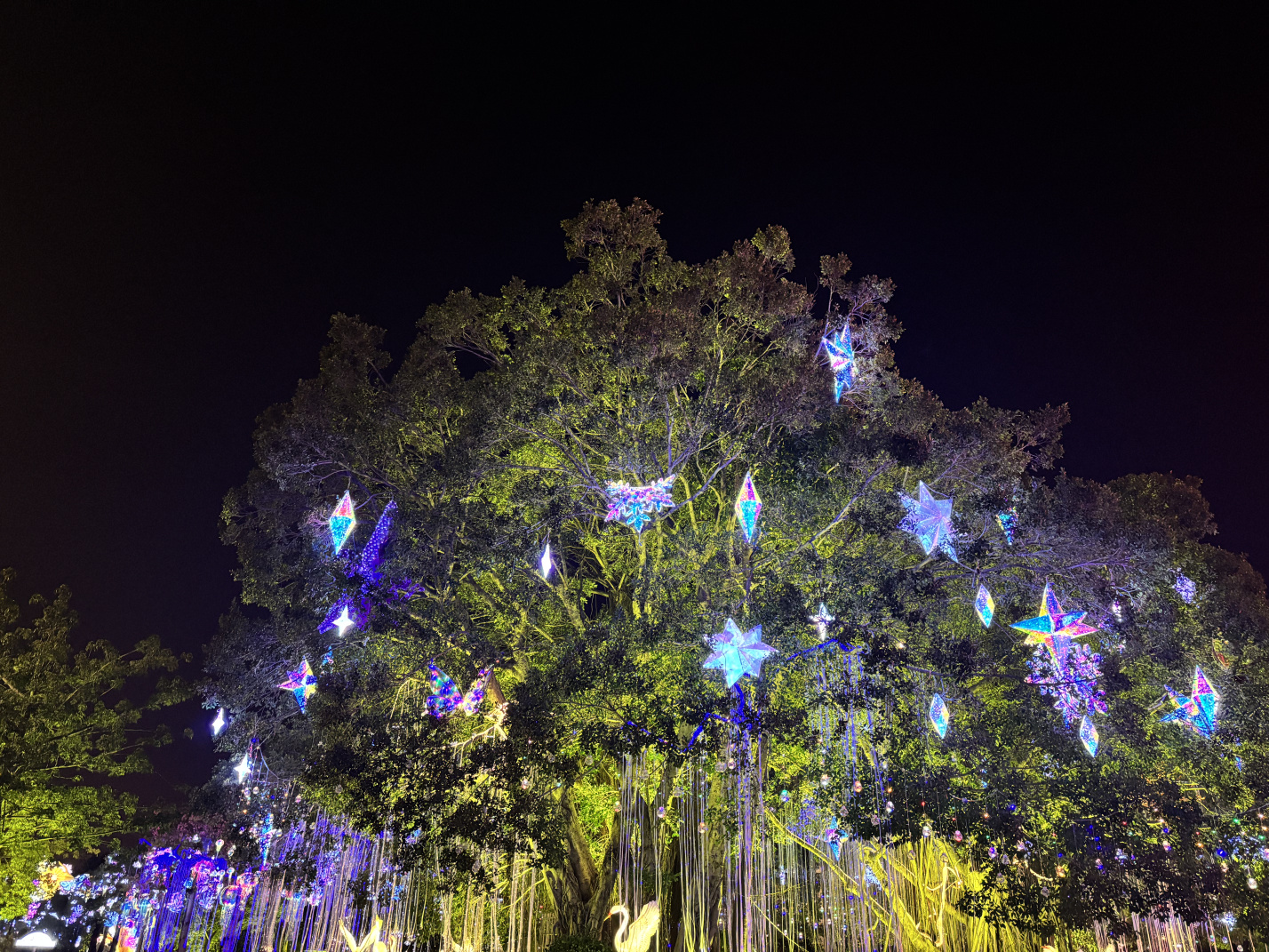 2025年园博苑中秋灯展