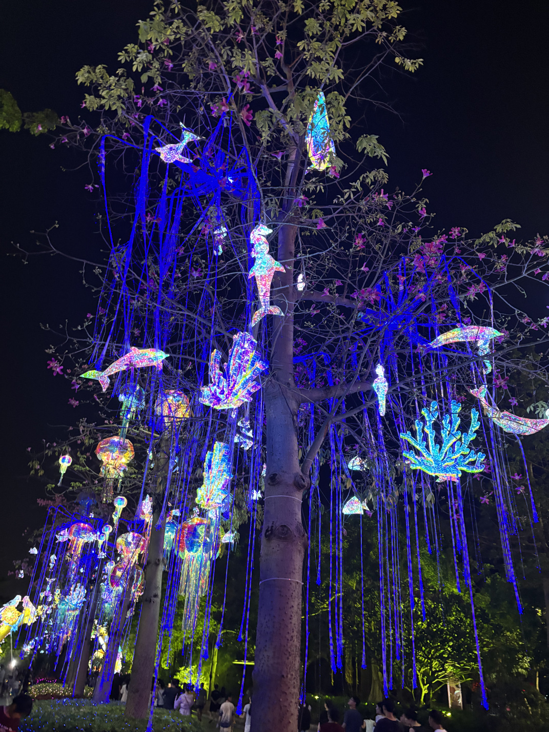 2025年园博苑中秋灯展