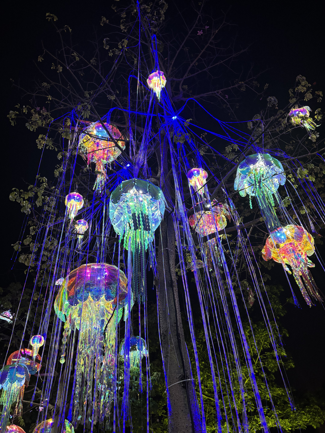 2025年园博苑中秋灯展