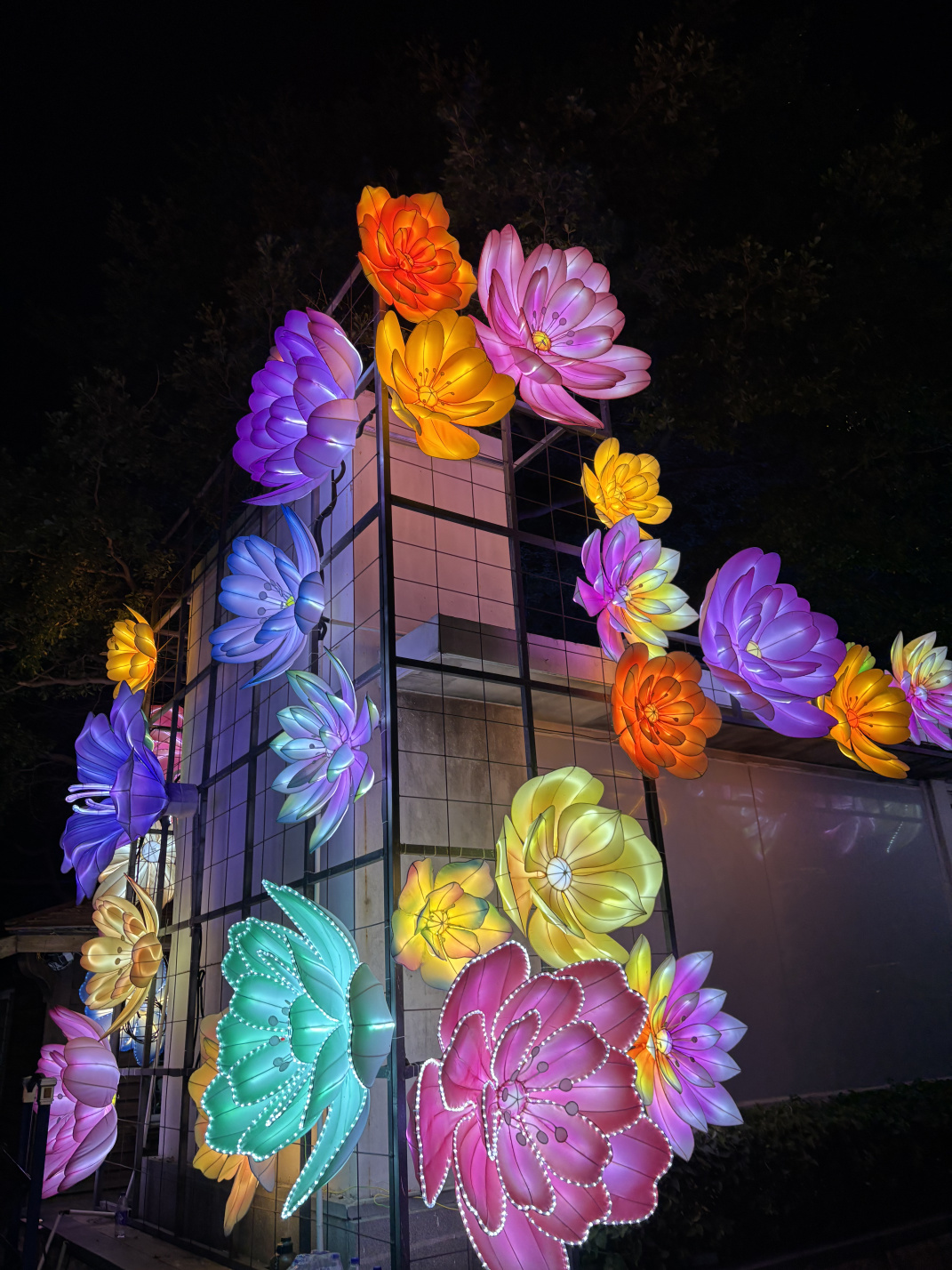 2025年园博苑中秋灯展