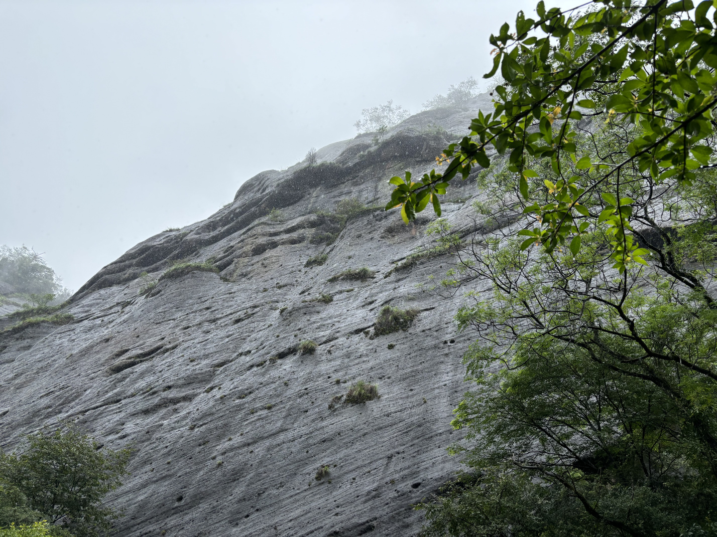 2024年8月:武夷山、南昌、庐山