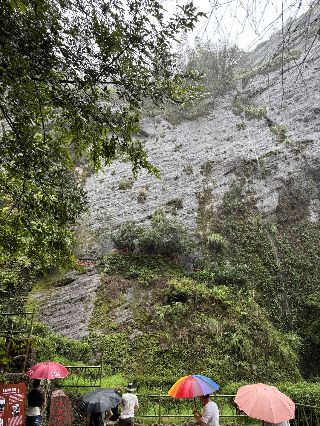 2024年8月:武夷山、南昌、庐山