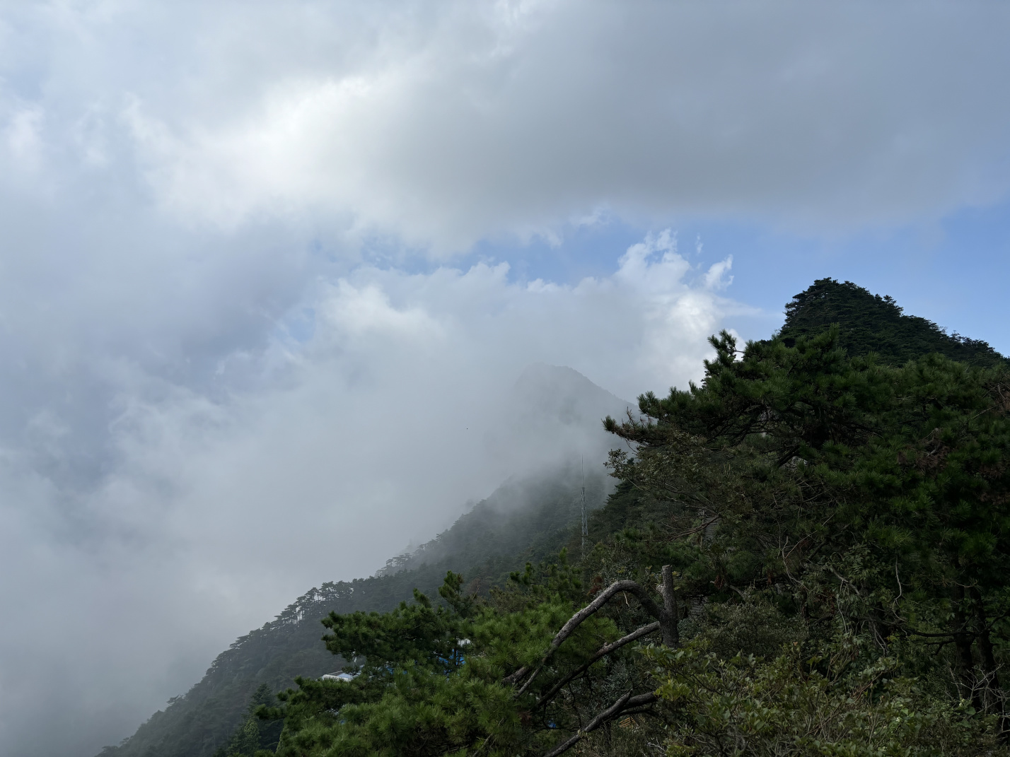 2024年8月:武夷山、南昌、庐山