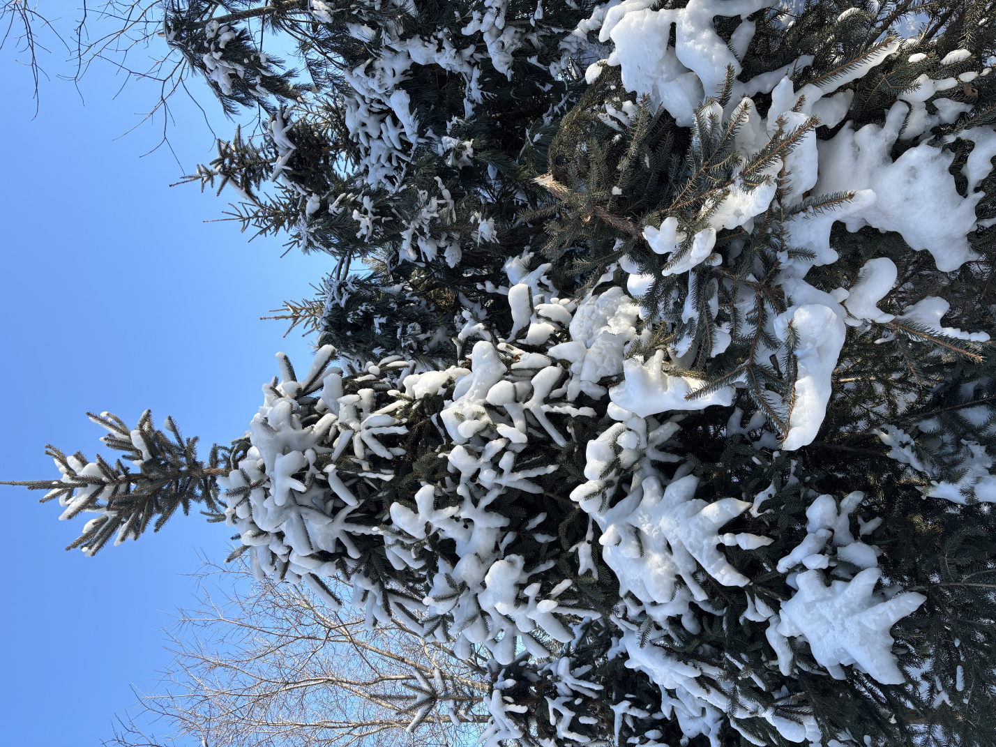 寒假带娃东北游