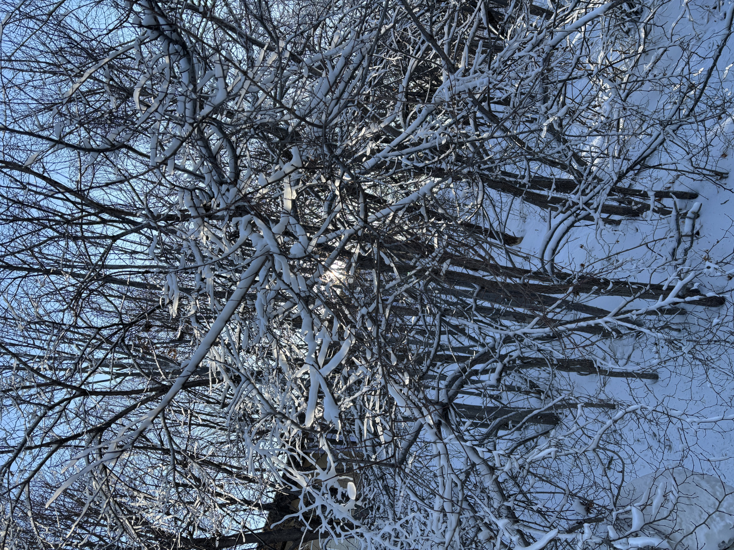 寒假带娃东北游